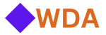 Web Design Agency